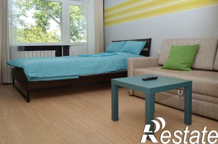 1-комн квартира Елизаровых, 43