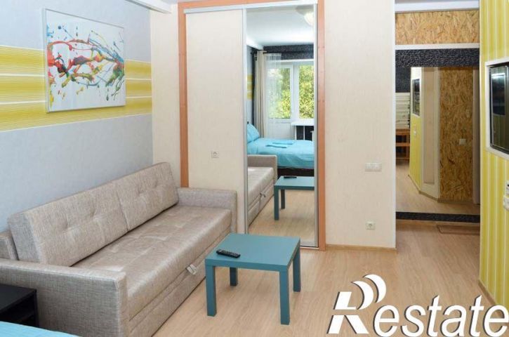 1-комн квартира Елизаровых, 43