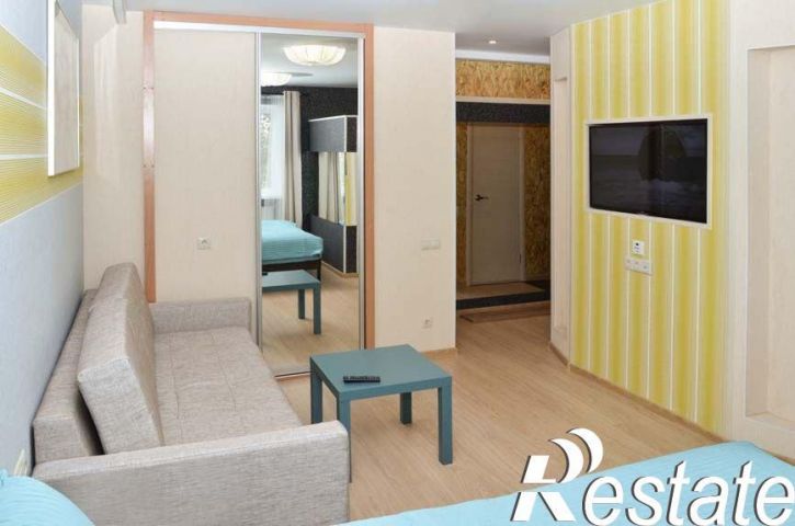 1-комн квартира Елизаровых, 43