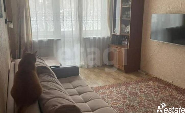 3-комн квартира улица Елизаровых, 21/2,  д. 21/2