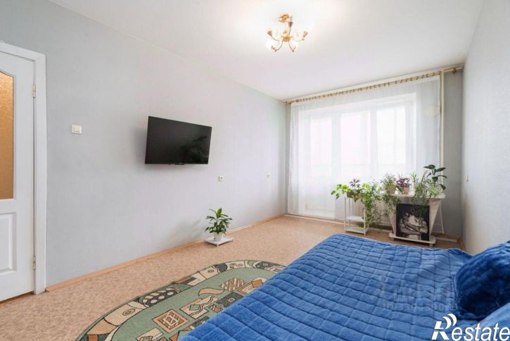 1-комн квартира ул Бирюкова, 15,  д. 15