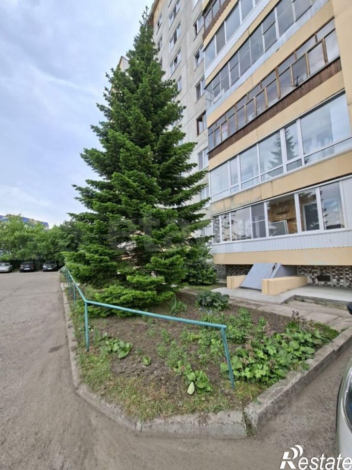 1-комн квартира ул Елизаровых, 48/9,  д. 48/9