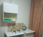 комната 52 кв м ул Елизаровых, 46