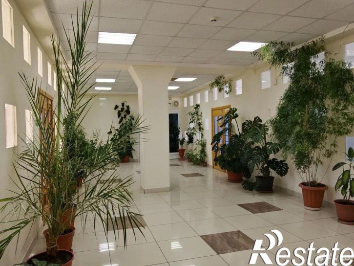 Офис Красноармейская улица, 101А,  д. 101А